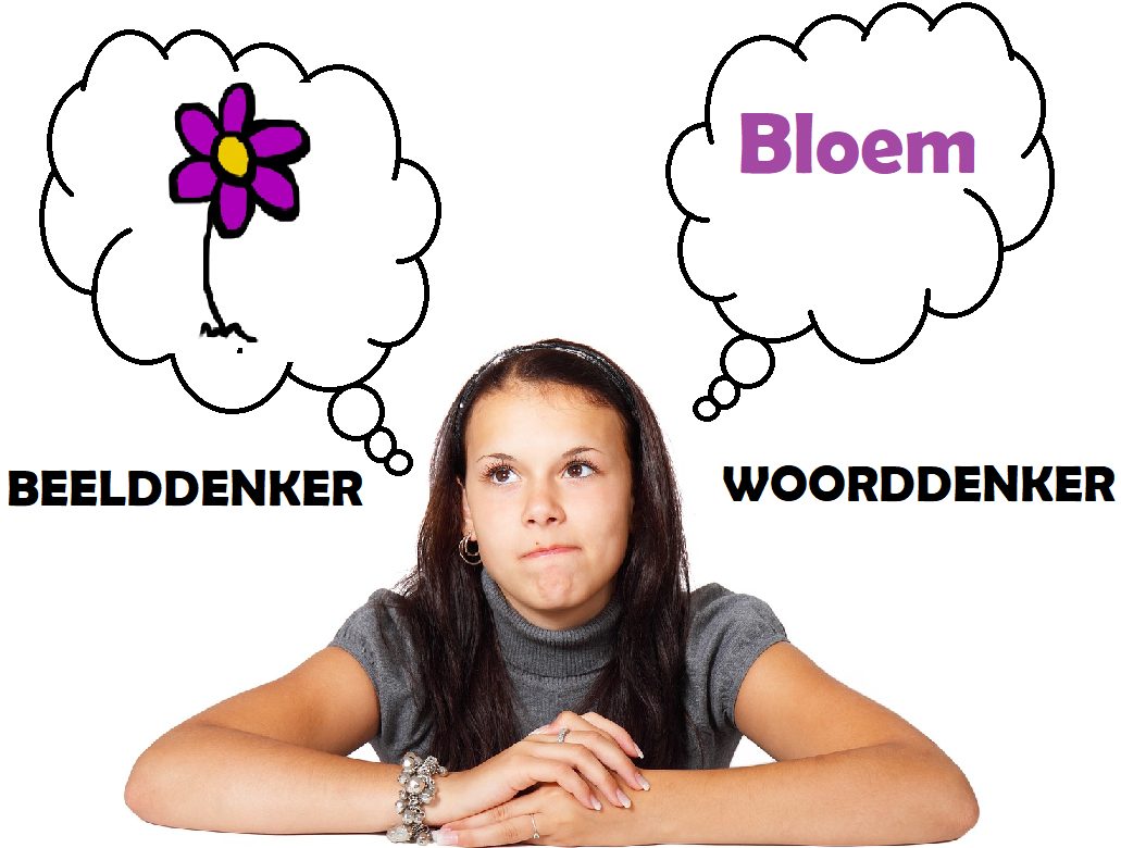 Woorddenker? Beelddenker?
